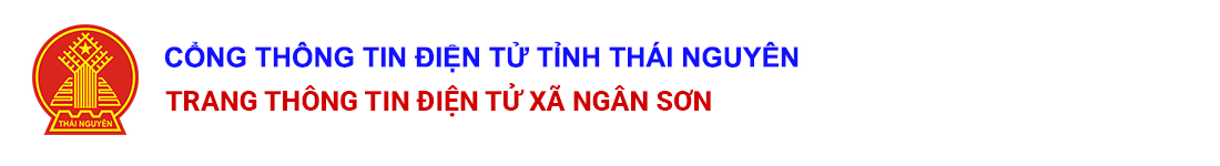 image banner